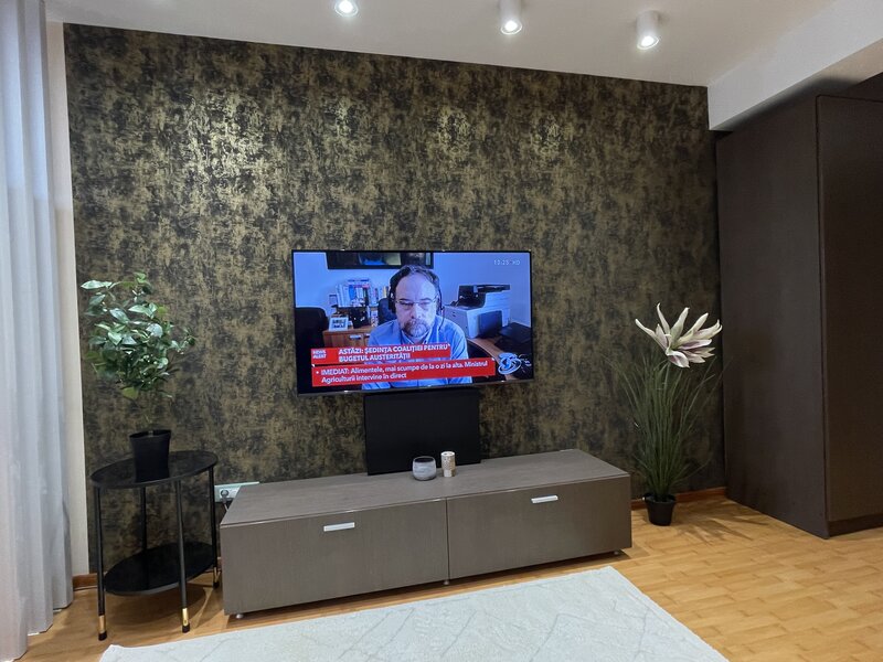 Basarabiei, rezidential, apartament studio style loft, particular,